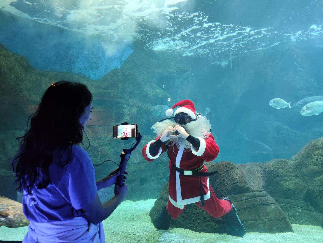 ξενάγηση ενυδρείο 