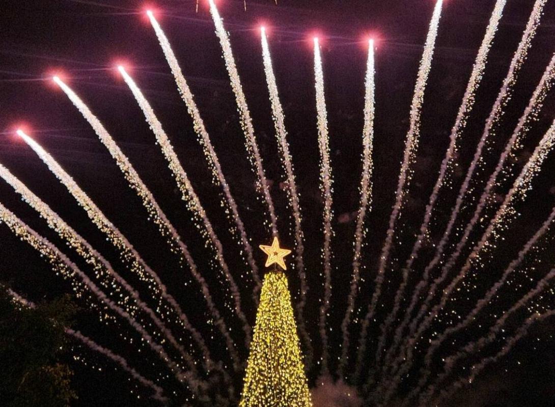 Χριστουγεννιάτικο δέντρο