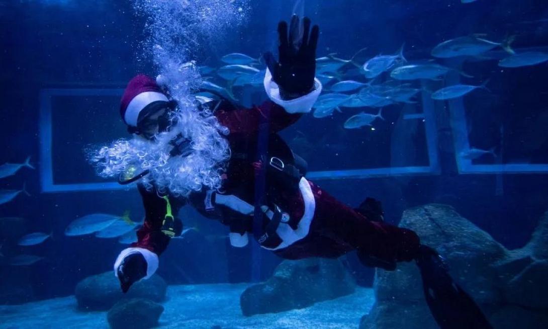 Άγιοι Βασίληδες