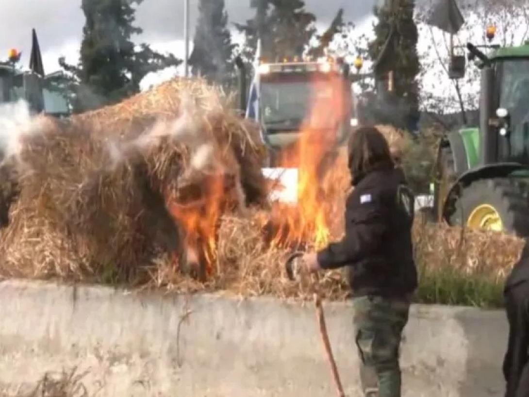 ΑΓΡΌΤΕς ΜΙΚΡΟΘΉΒΕς
