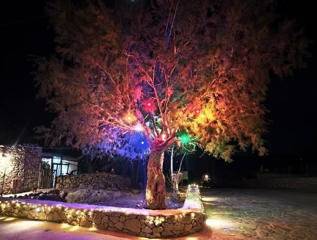 χριστουγεννιατικο δενδρο