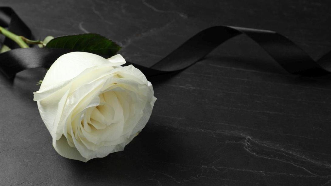 τριαντάφυλλο 