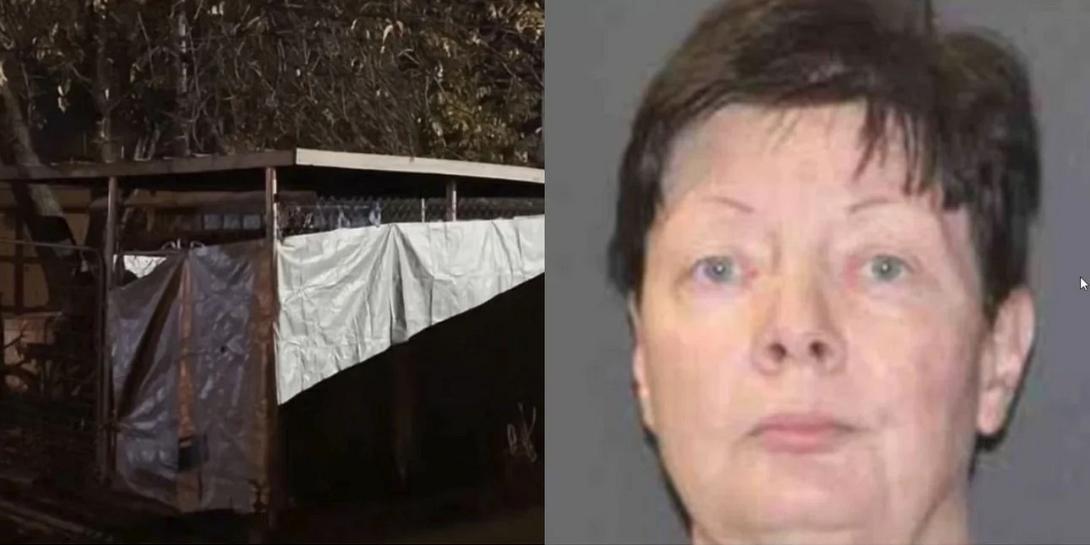 κλουβί, σκύλου, κοπέλα