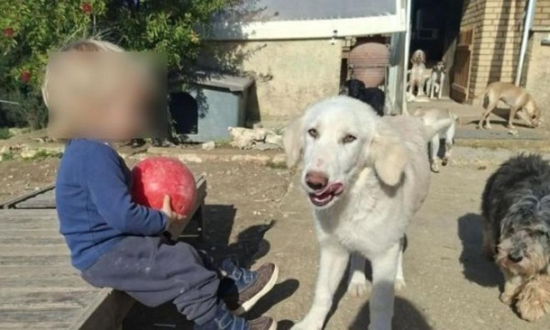 2χρονος - Ζάκυνθος 