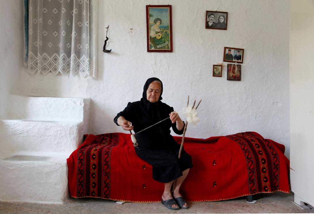 αεναες μορφες αστερουσιων - λευκωμα μετζακη