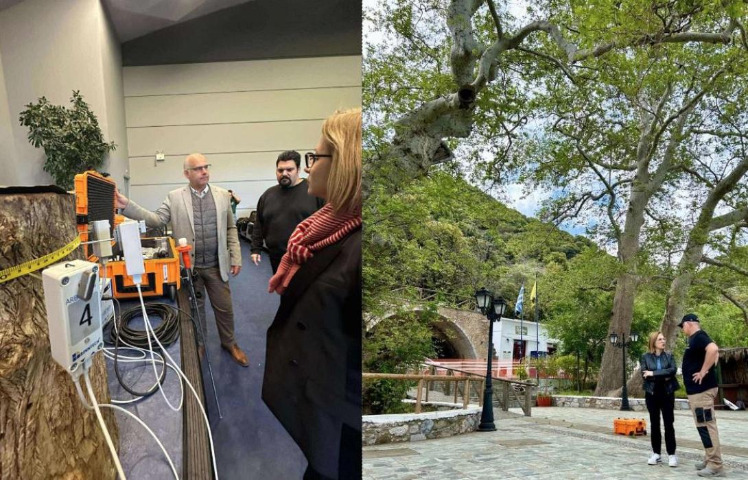 Παρατηρητήριο Αστικού Πρασίνου