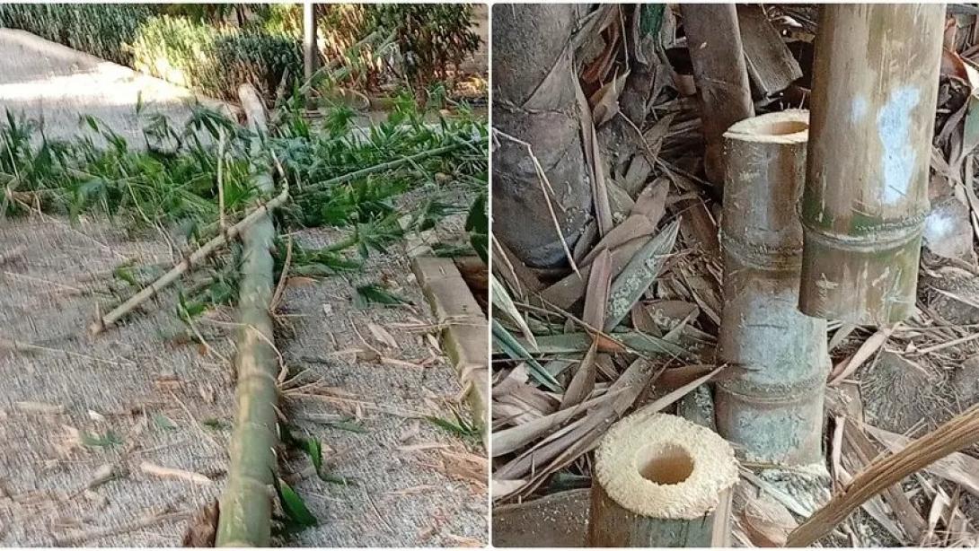 δημοτικός κήπος ρεθύμνου