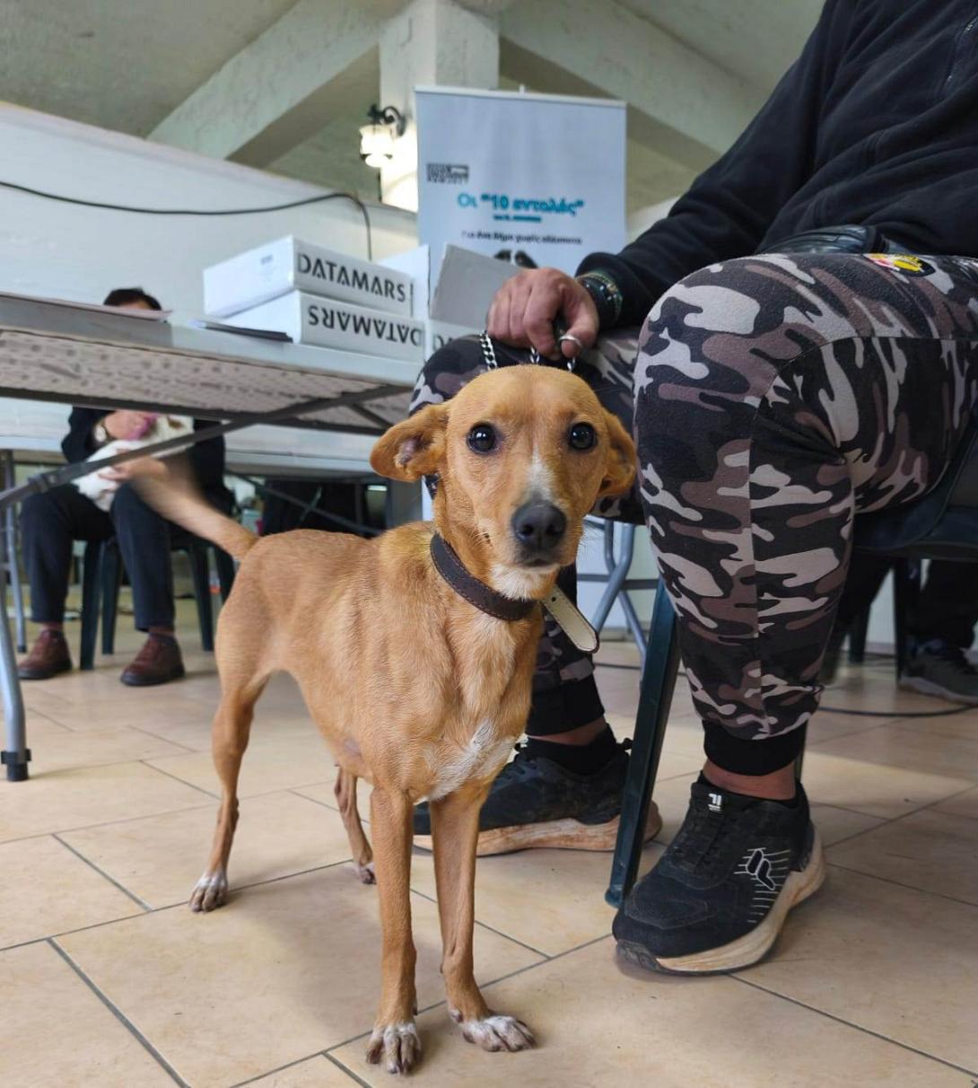 ΖΩΑ ΣΥΝΤΡΟΦΙΑΣ