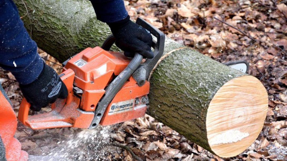 ξυλοκοπτικό