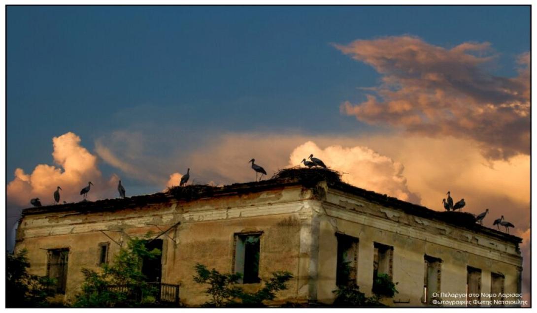 γυρτώνη λάρισας