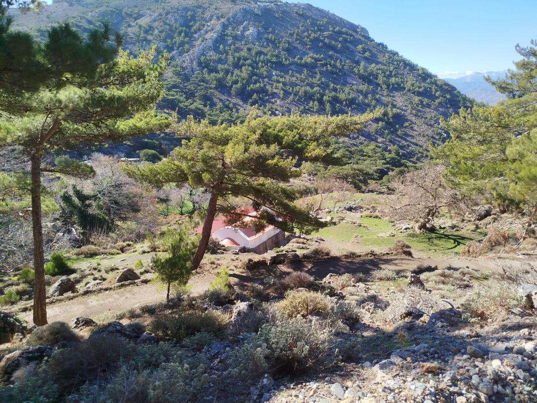 ΑΓΙΟΣ ΔΗΜΗΤΡΙΟΣ