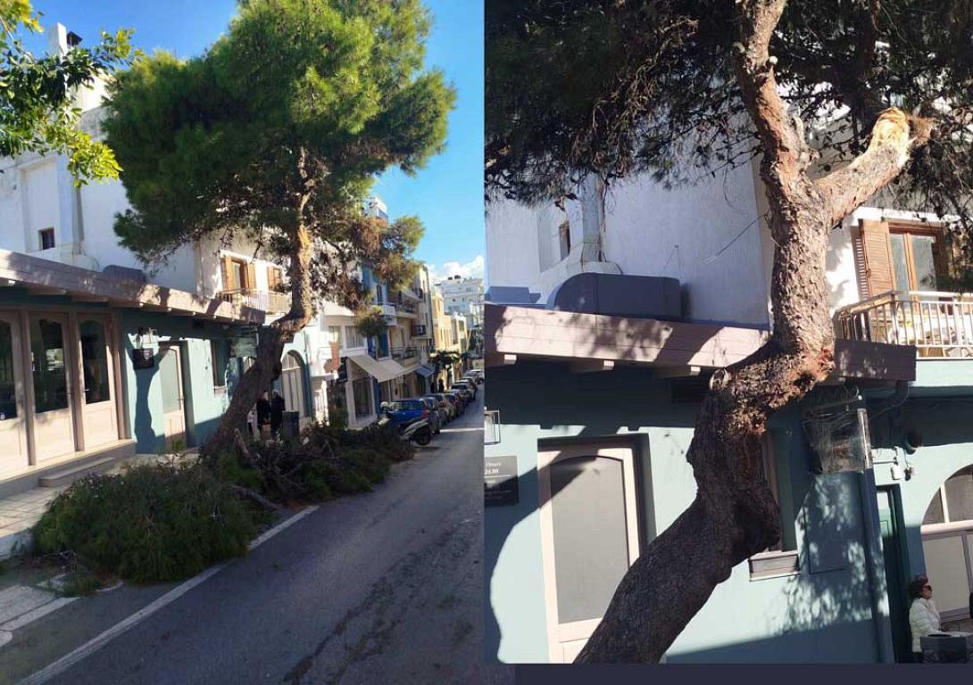 ptvsh dentroy - ag. nikolaow