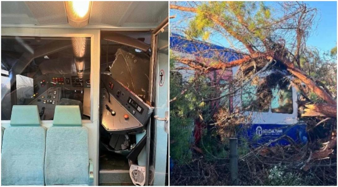 Δέντρο τρένο