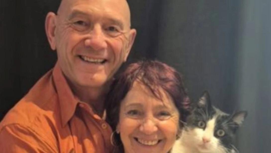 γάτα Καταλονία