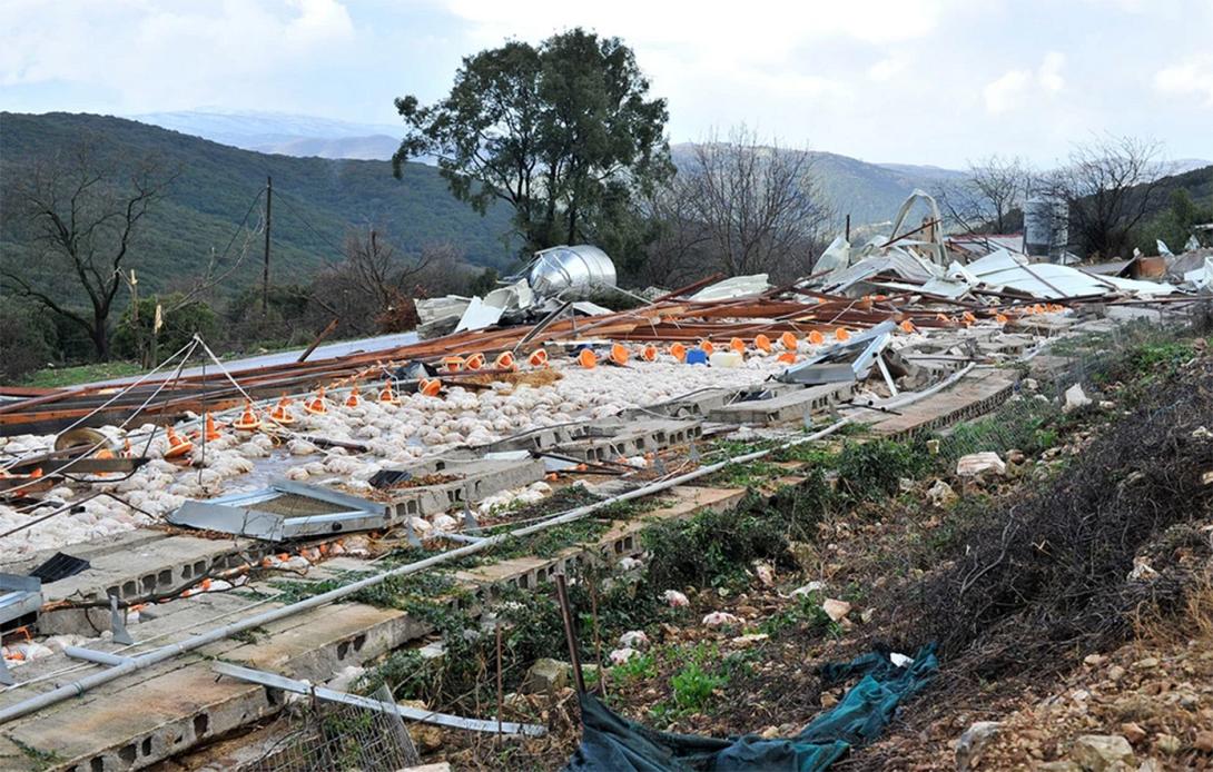 Πτηνοτροφείο