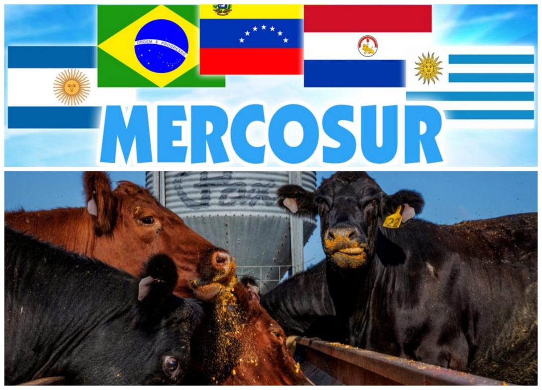 Mercosur