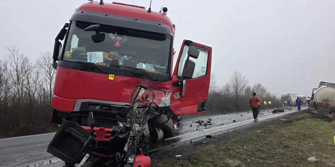 Νταλίκα Ρουμανία