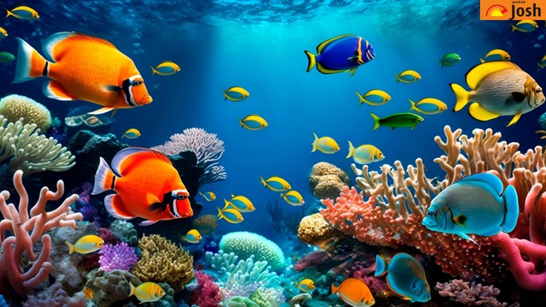 ψευδαίσθηση, αστέρας