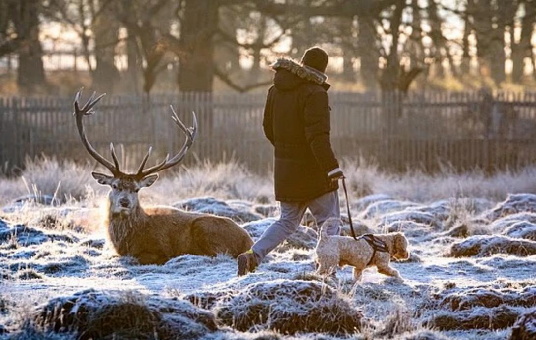 βρετανία, παγετώνας