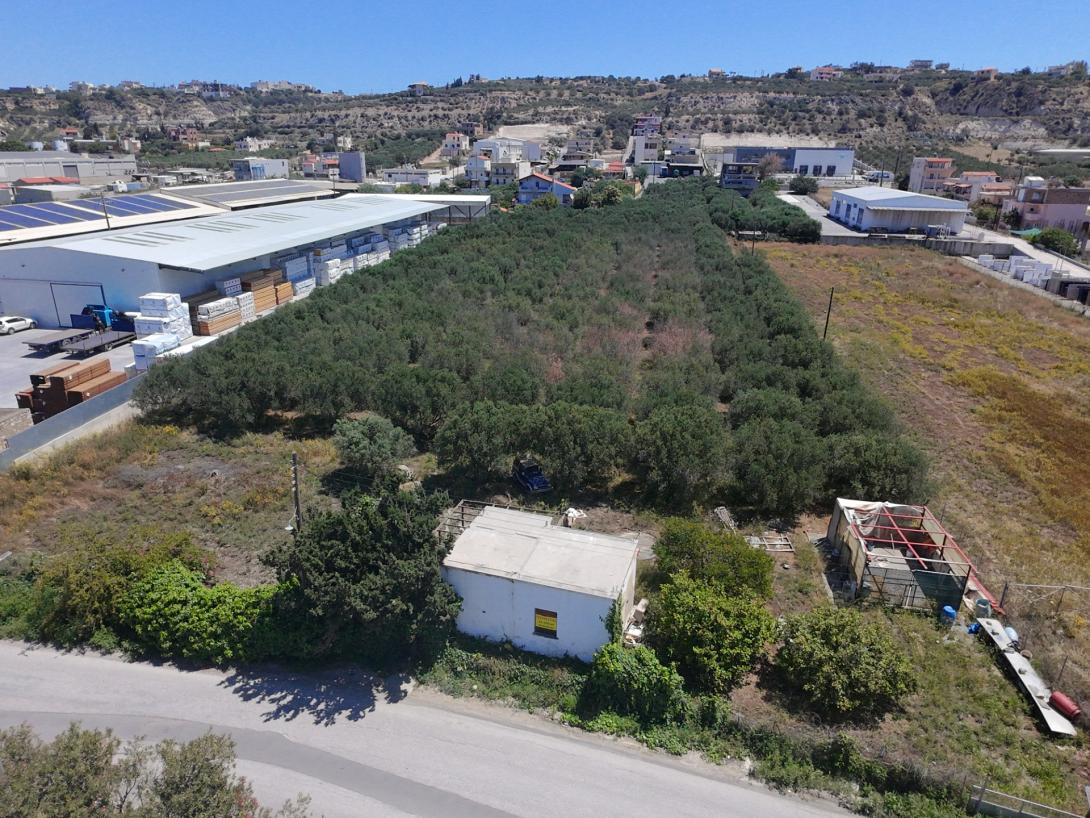 βιοπα φοινικιας