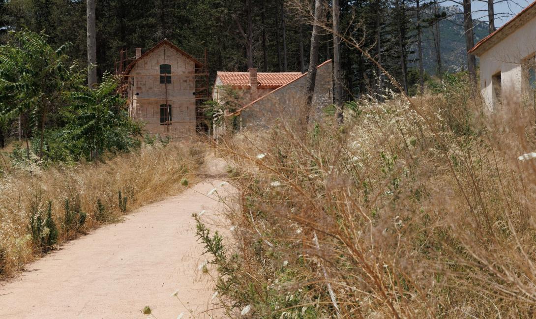 ακαθάριστα οικόπεδα 