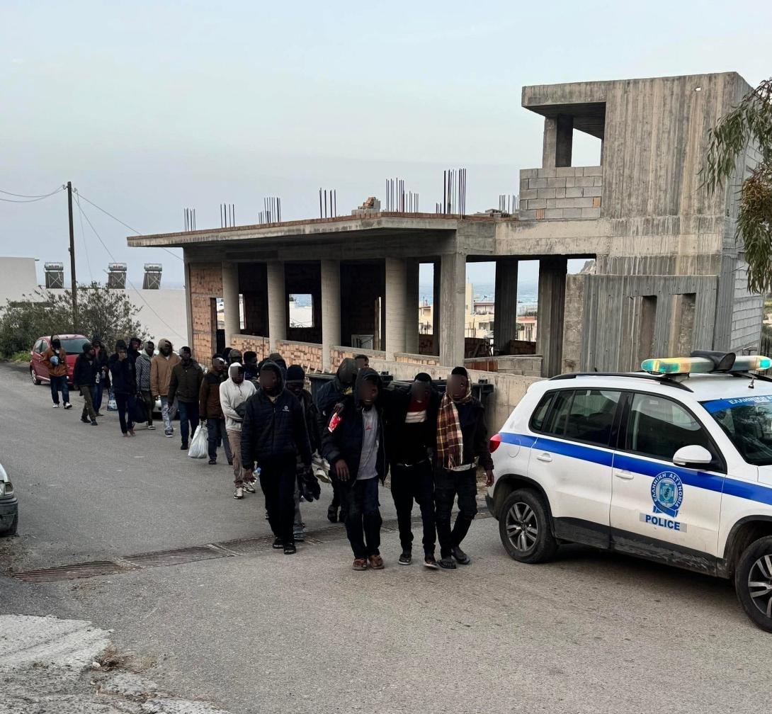 ψαρή φοράδα μετανάστες