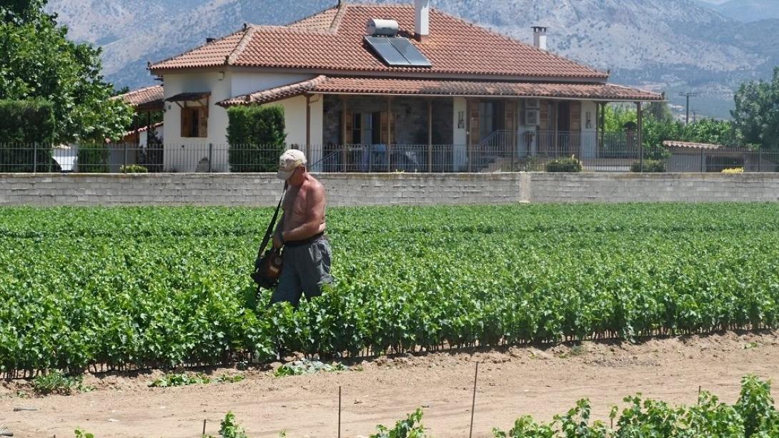 ΠΡΩΤΟΓΕΝΗΣ ΤΟΜΕΑΣ