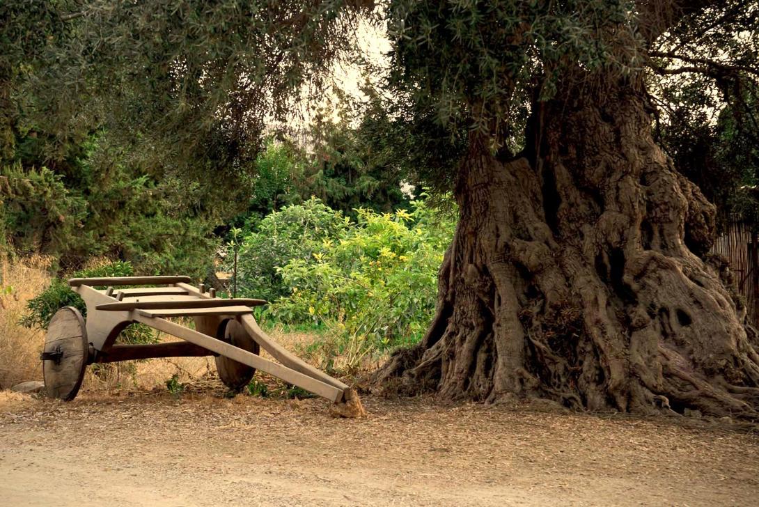 κρήτη αγροτουρισμός
