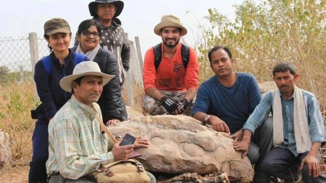 αυγό δεινόσαυρος