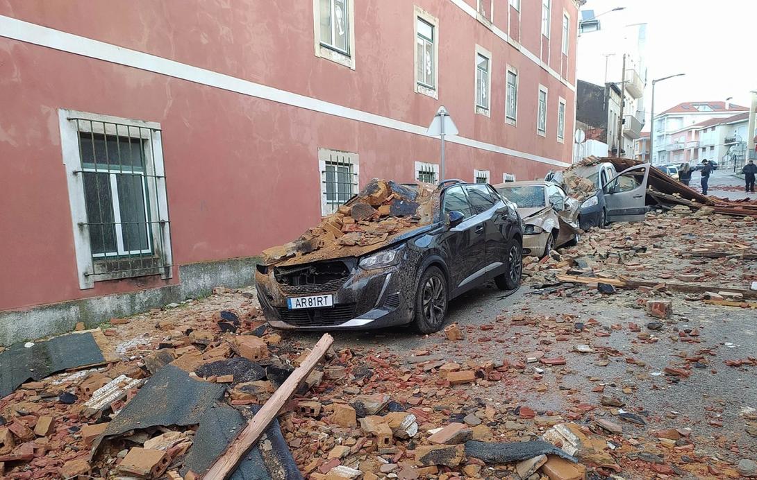 πορτοφαλία, ζημιές