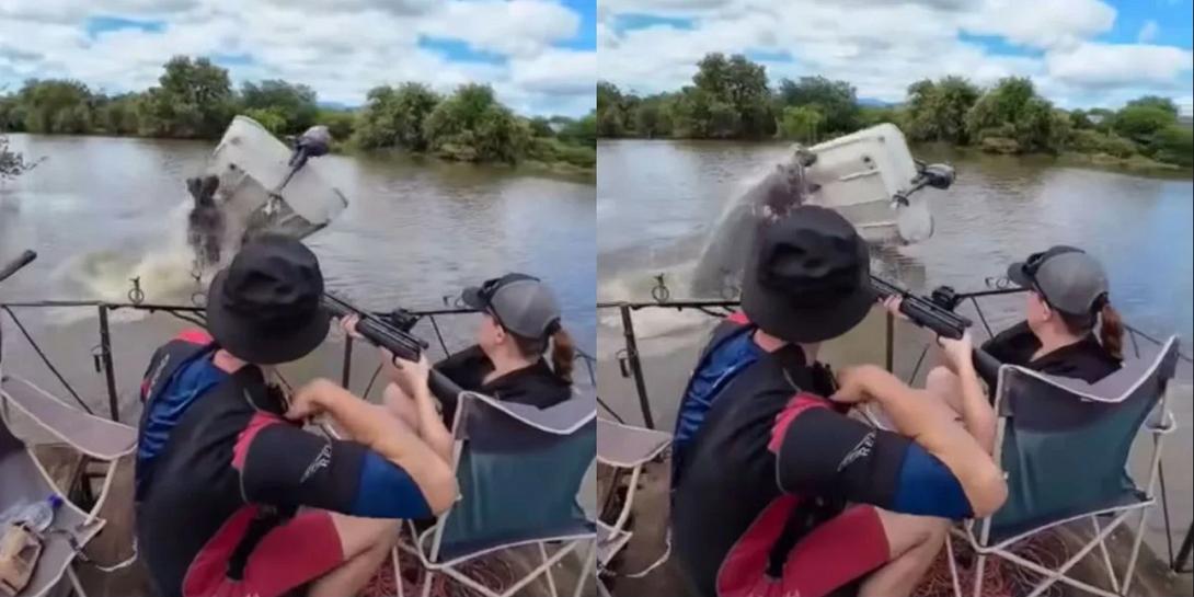 ιπποπόταμος, βάρκα