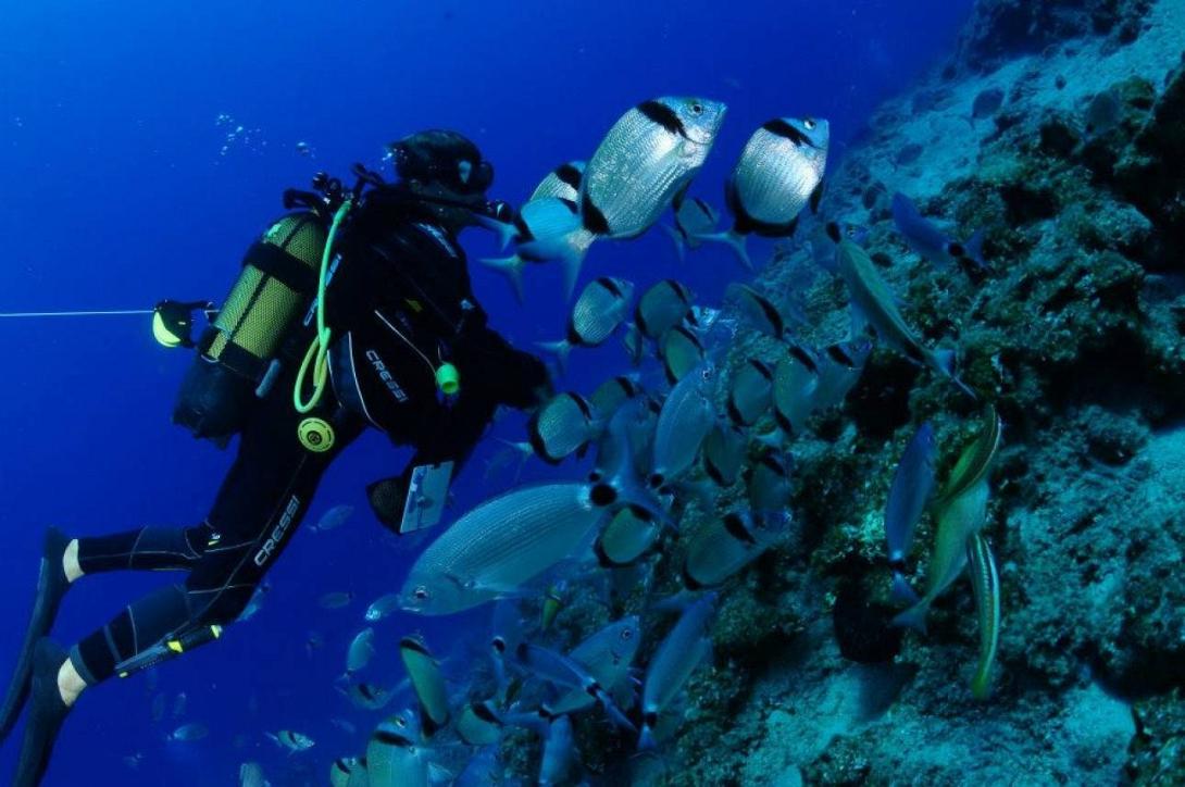 καταδυτικός τουρισμός