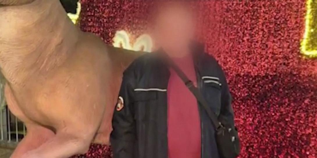 βιαστης κυψελης