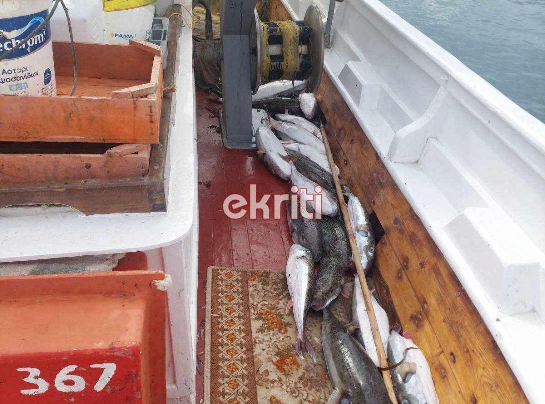 Λαγοκέφαλοι