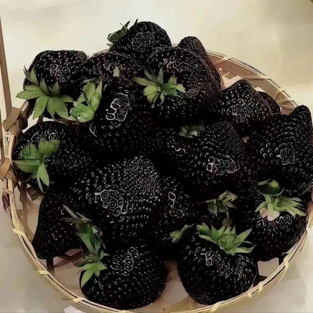 μαύρες φράουλες