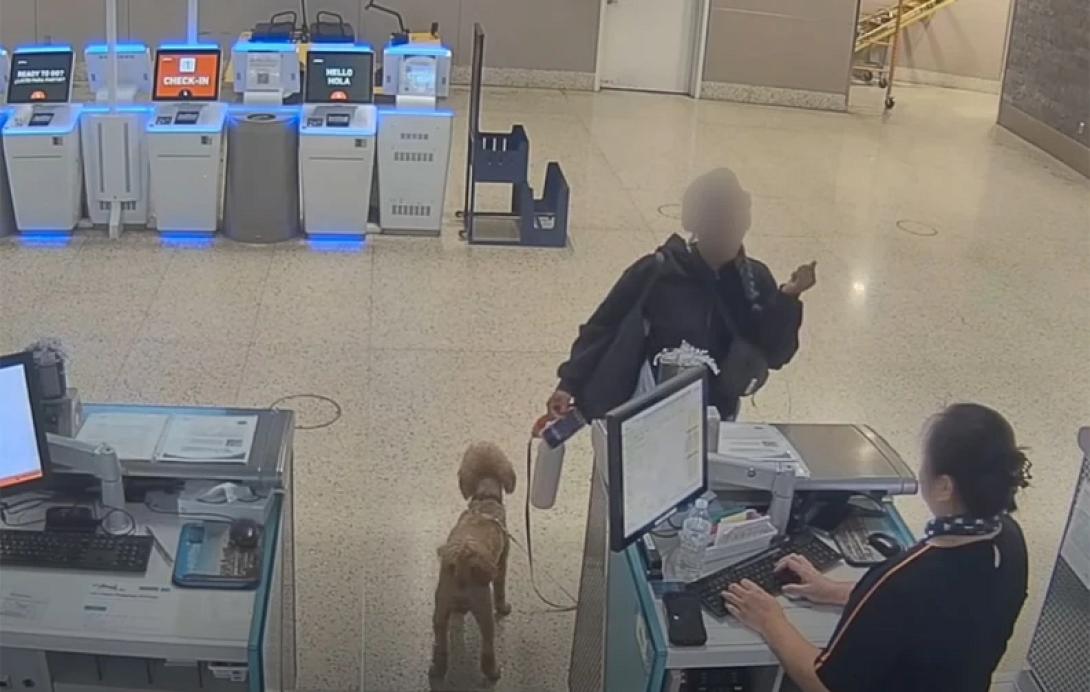 Σκύλος αεροδρόμιο