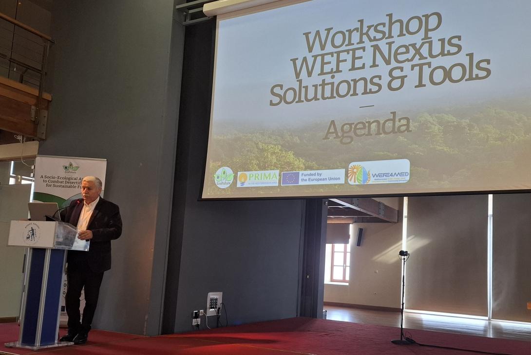 ΝΙΚΟΣ ΞΥΛΟΥΡΗΣ