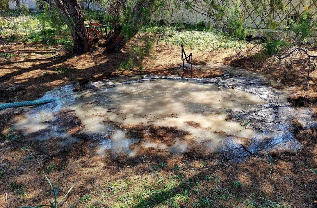 αλκαλικο περιβαλλον