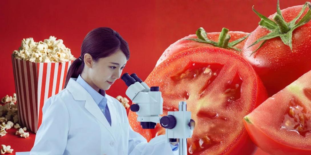 ΝΤΟΜΑΤΑ ΠΟΠ ΚΟΡΝ