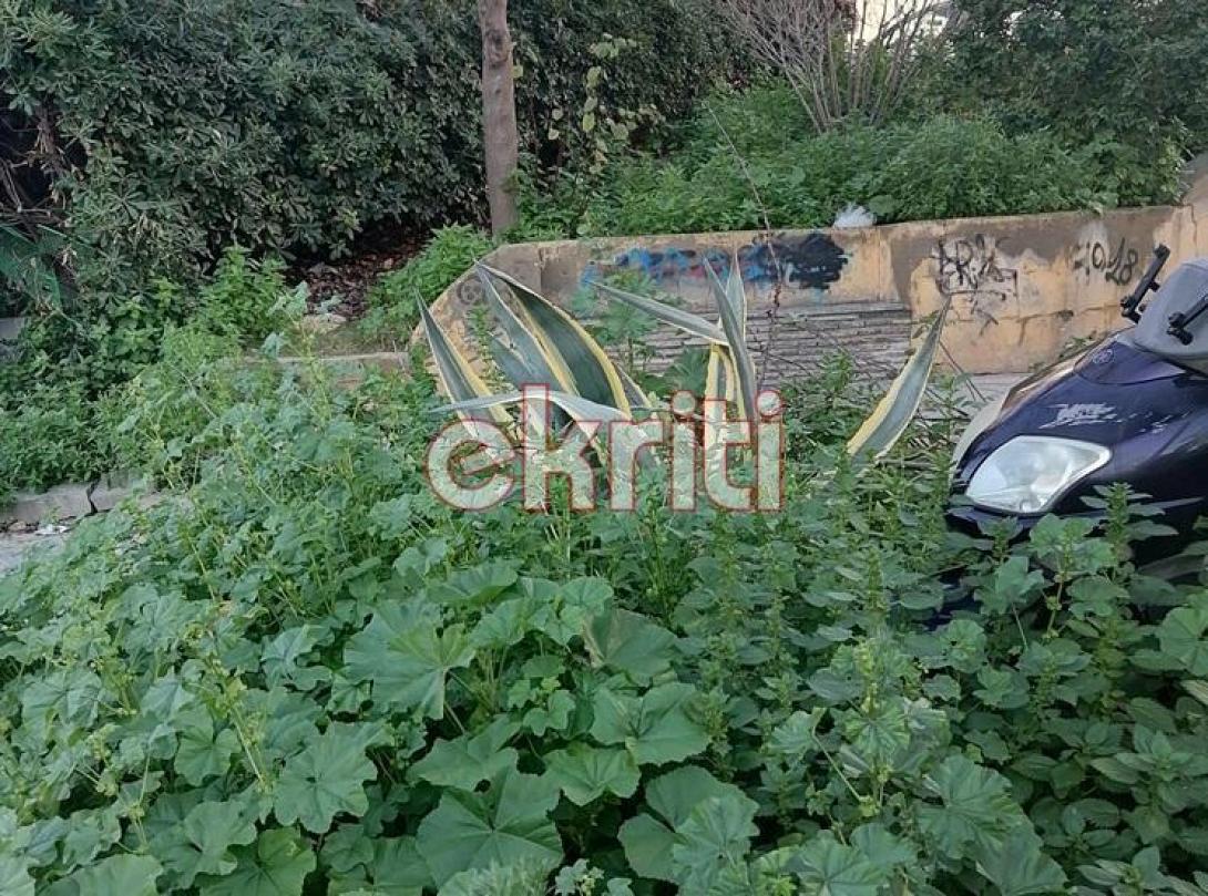 παρκάκι τίτου γεωργιάδη