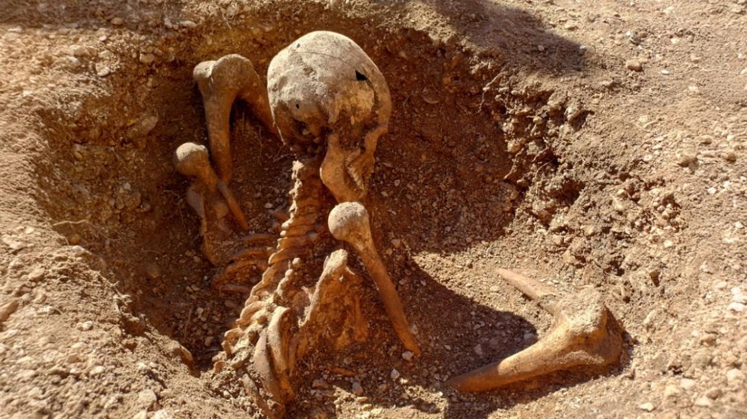 σκελετοί, μυστήριο