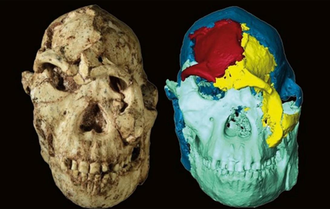 αυστραλοπίθηκος, επιστήμονες