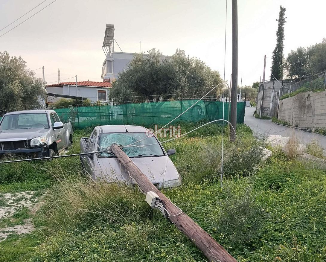 φοινικιά στύλος