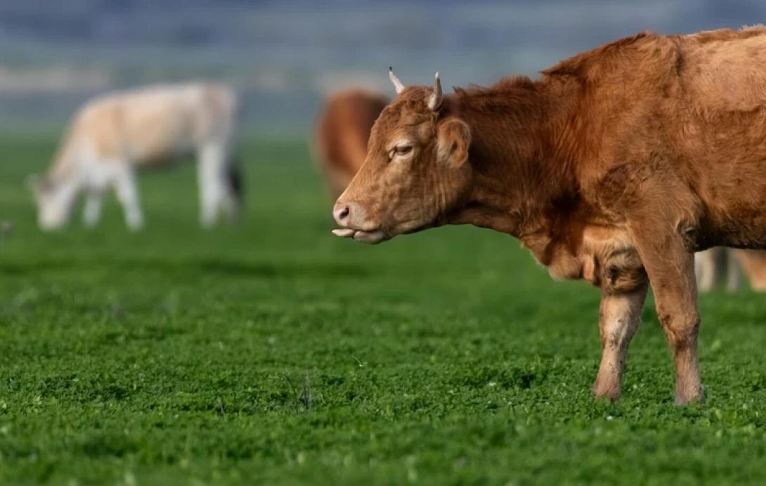 λίμνη Κάρλα
