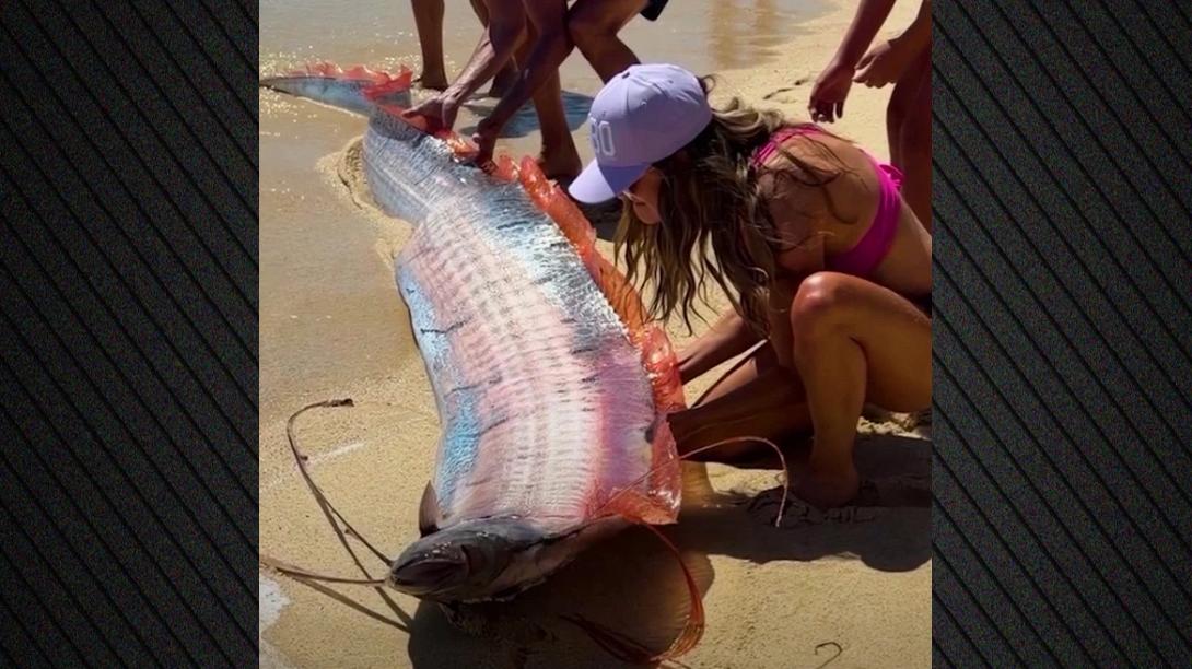 ψάρι, μεξικό