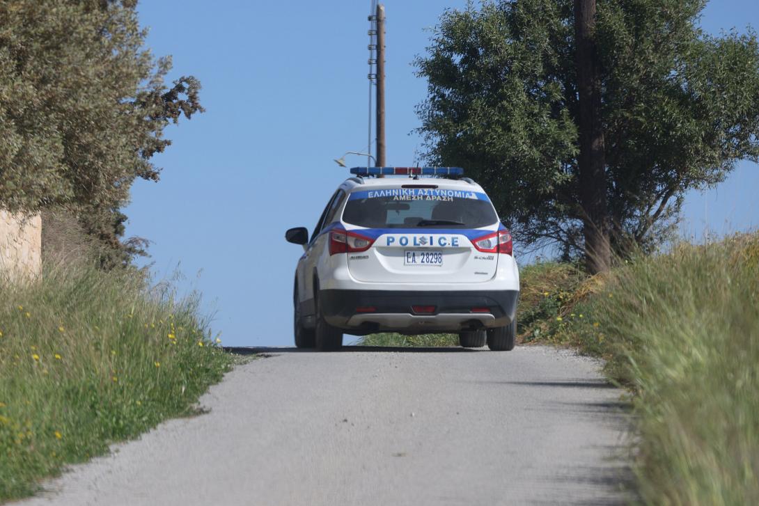 ερευνες για Ελευθερία Γιακουμάκη