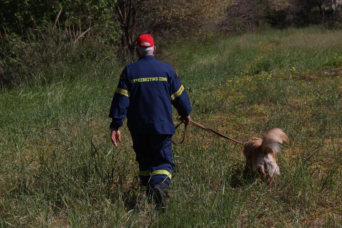 ερευνες για Ελευθερία Γιακουμάκη
