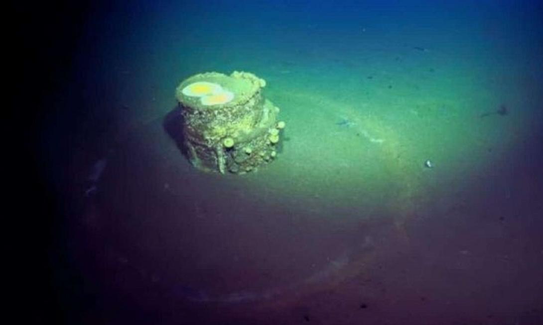 ΒΑΡΕΛΙΑ ΜΕ ΔΑΚΤΥΛΙΟΥΣ