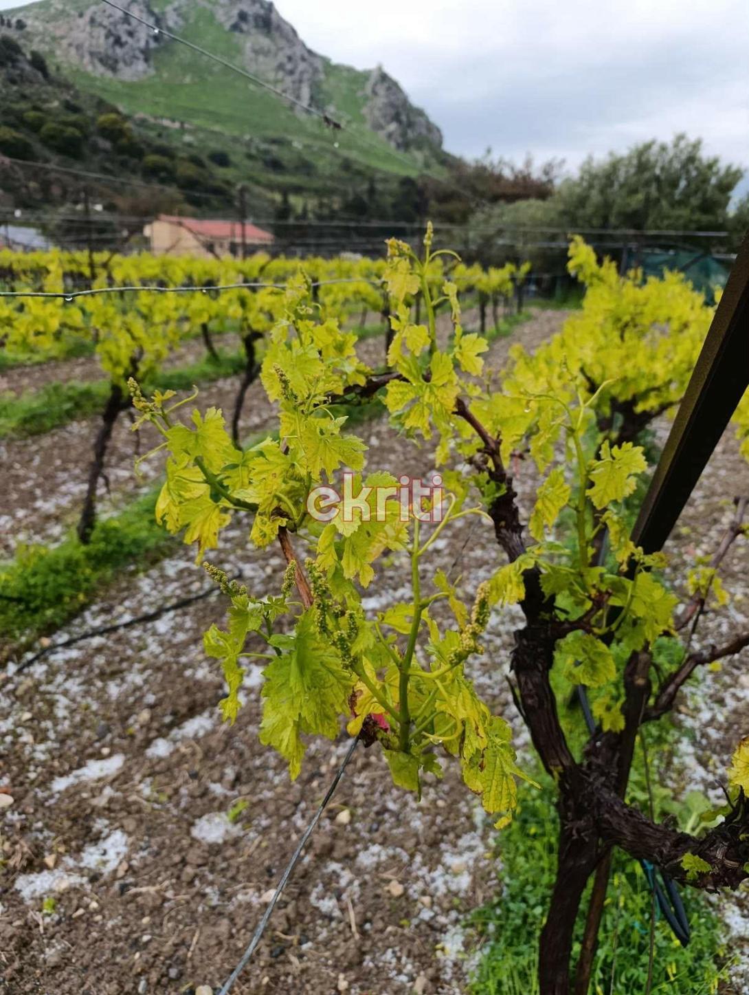 χαλαζόπτωση προφήτης ηλίας