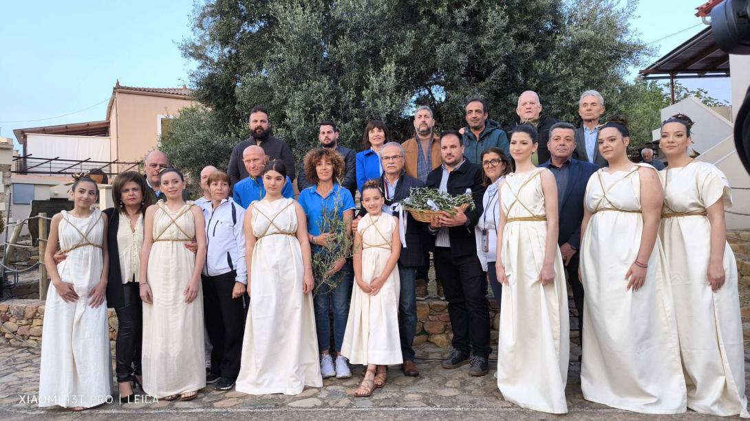 κοπη κοτινου πλατανιας